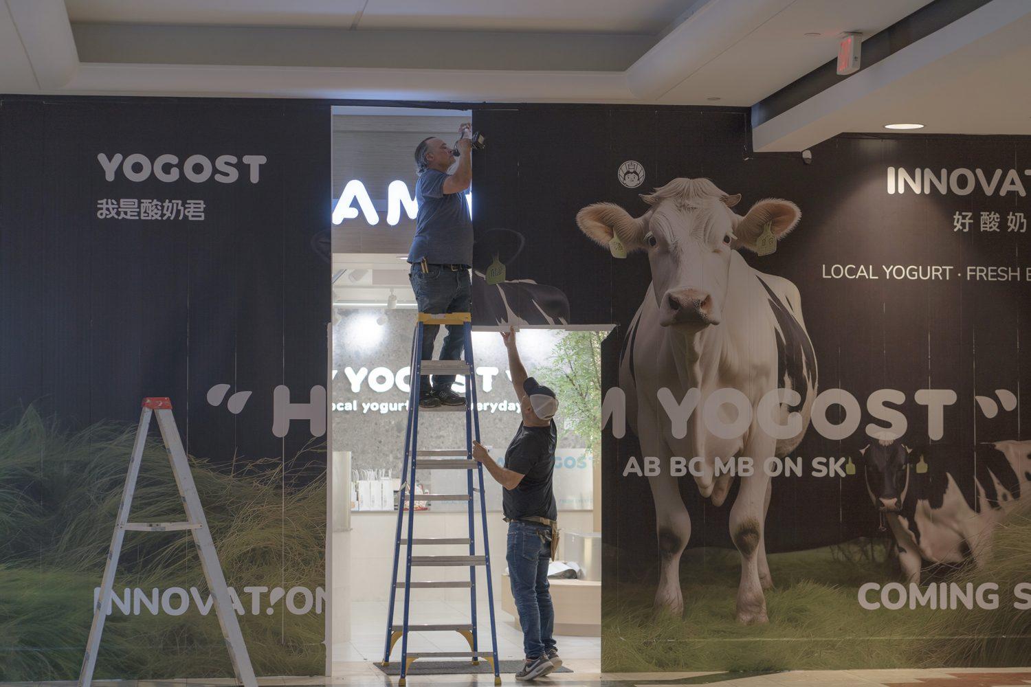The Richmond Centre storefront hoarding with grass and cows